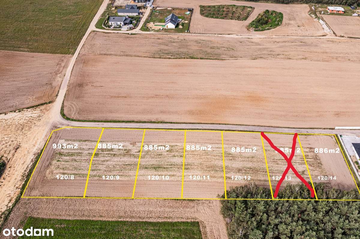 Działki nad jeziorem, Sapowice woj. Wielkopolskie - Pełny obrazek: 5/6