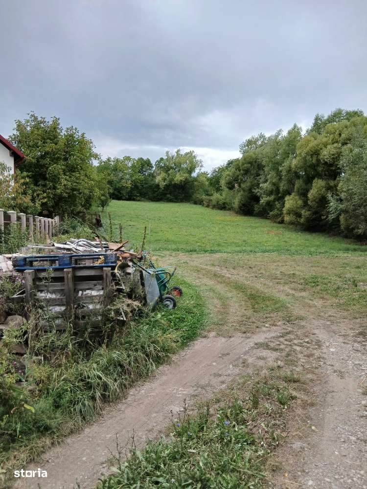 Breaza Teren de vânzare   5.000 mp, deschidere 35.12 m - Imagine principală: 2/3