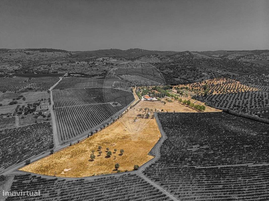 Quinta T7 para venda - Grande imagem: 3/50