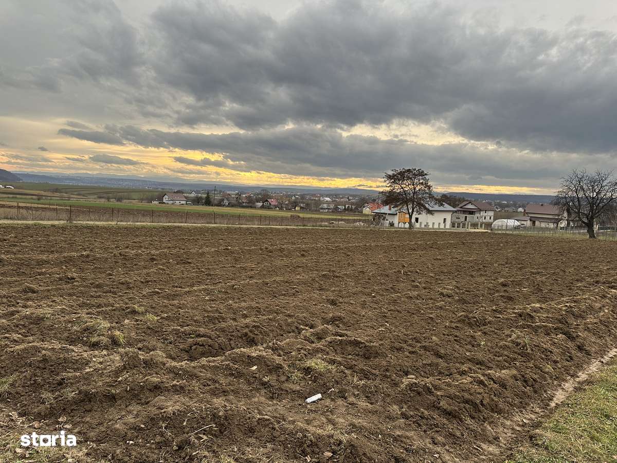 Teren intravilan în Mitocași - Imagine principală: 5/10
