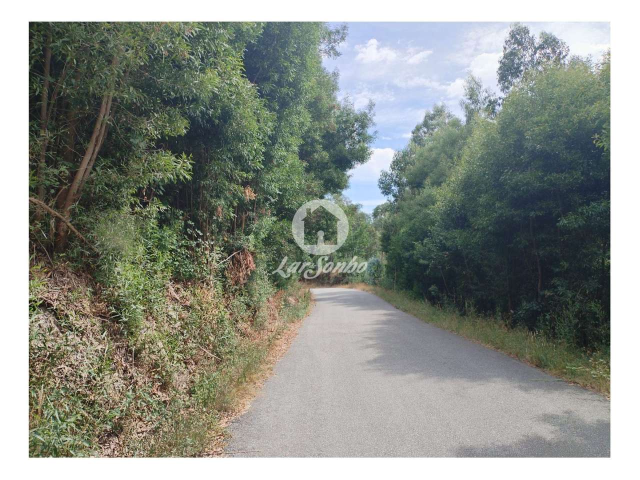 Terreno Caçarilhe Celorico de Basto - Grande imagem: 5/7