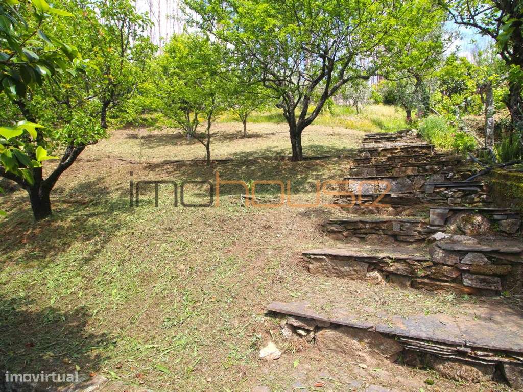 Quinta agrícola - 45 minutos do Porto-39