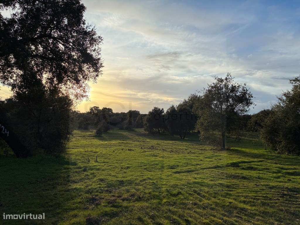 Quinta em Vila Nova de São Bento, com uma ruina para ser recuperada...-27