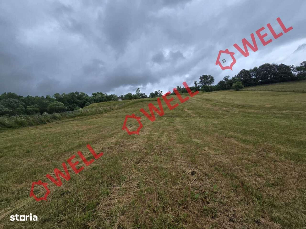 De vânzare teren extravilan loc. Sărămaș, com. Barcani! - Imagine principală: 5/6