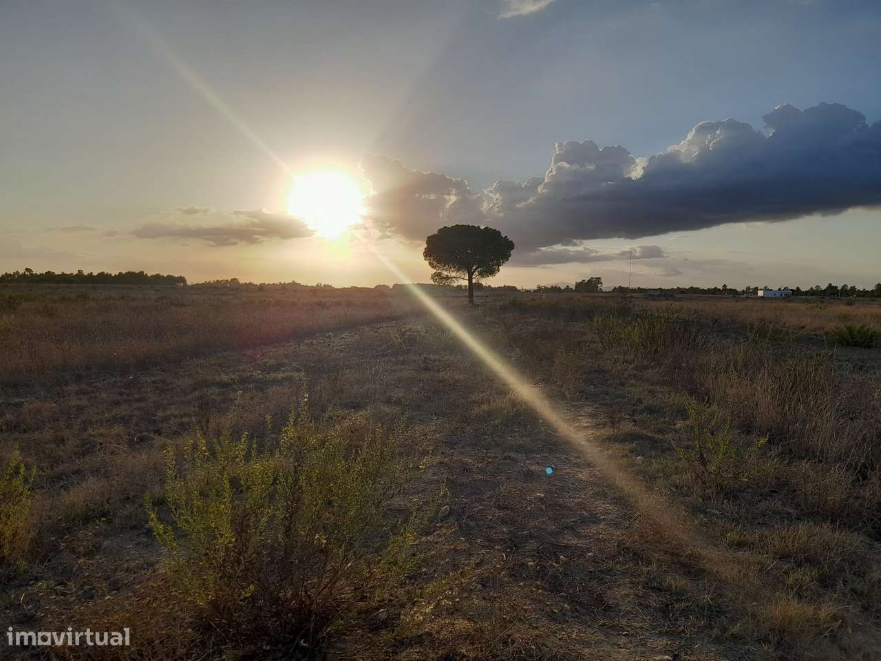 Terreno rústico inserido numa malha urbana com duas frente centro do G - Grande imagem: 4/10