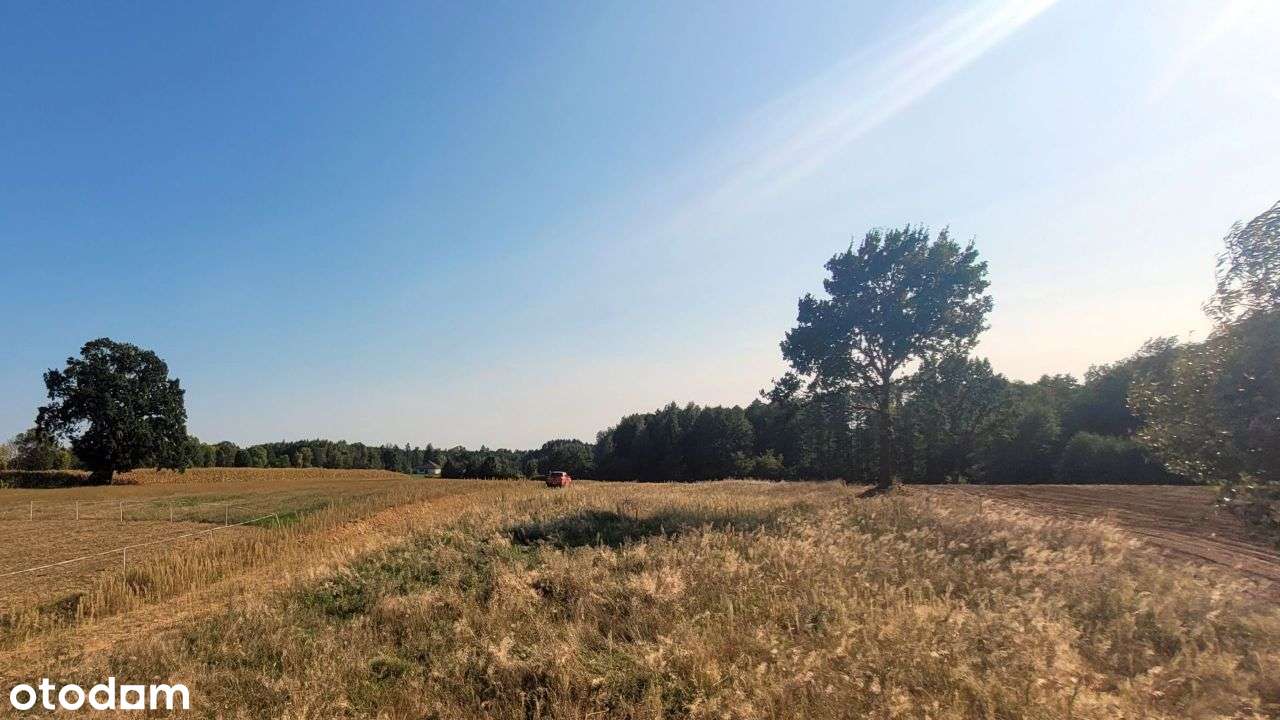 działka budowlana niedaleko Nasielska-11