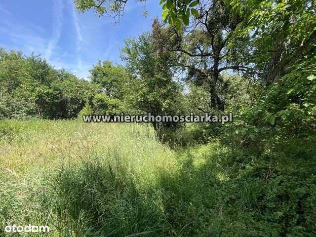 Działka budowlana 13 arów Kokoszyce ul. Smolna - Pełny obrazek: 5/8