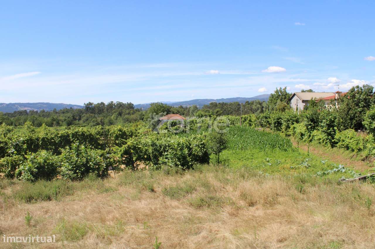 Terreno de Quinchães - Grande imagem: 1/15