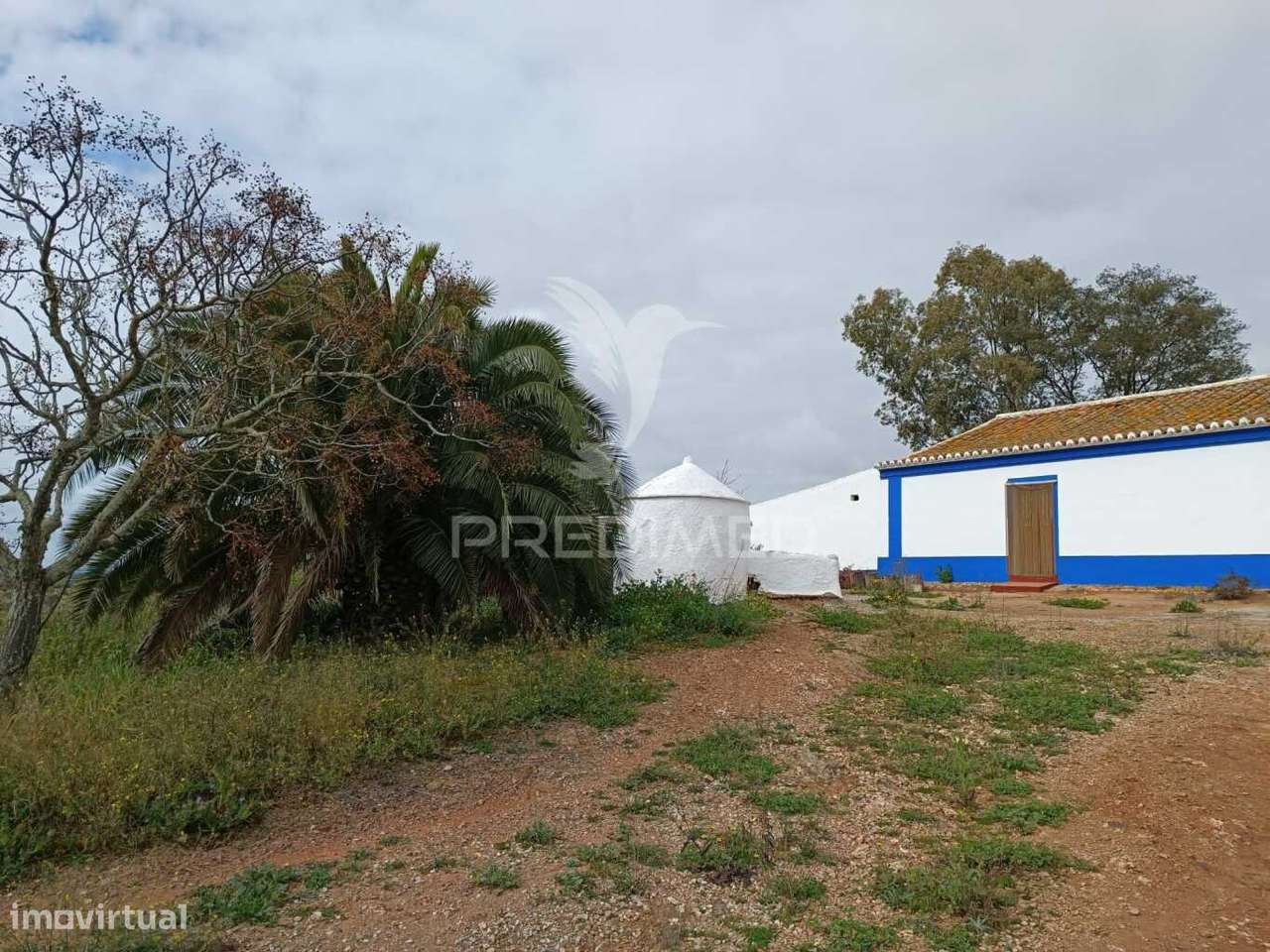 Herdade com Monte Alentejano - Serpa - Grande imagem: 4/34