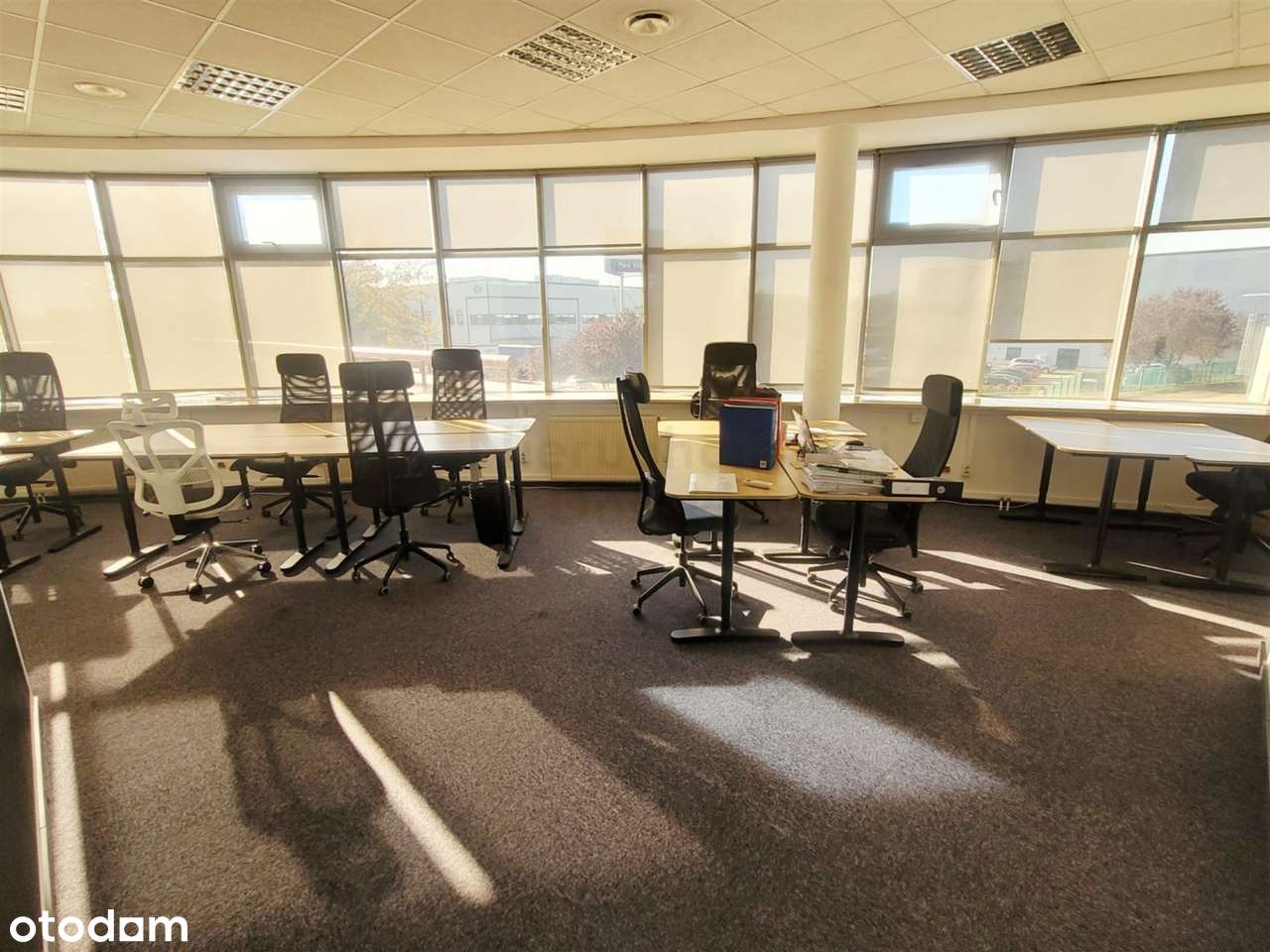 STANIEWICKA 18 | wygodne i przestronne biuro w doskonałej lokalizacji - Pełny obrazek: 4/20