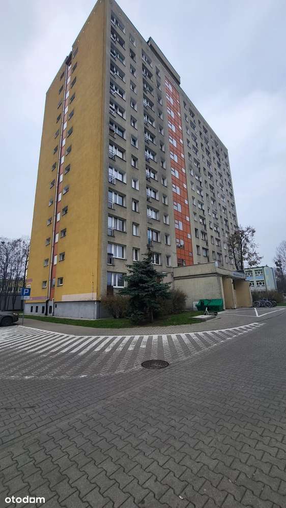 Tanie mieszkanie dwupokojowe na Winogradach - Pełny obrazek: 1/12