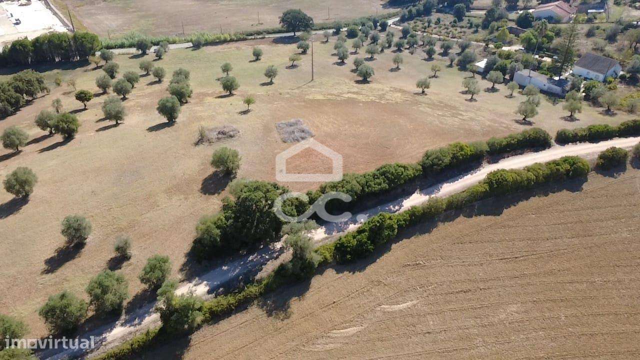 Terreno Rústico com 25.240 m² em Ferras, Gavata, Torres Novas – RAN-39