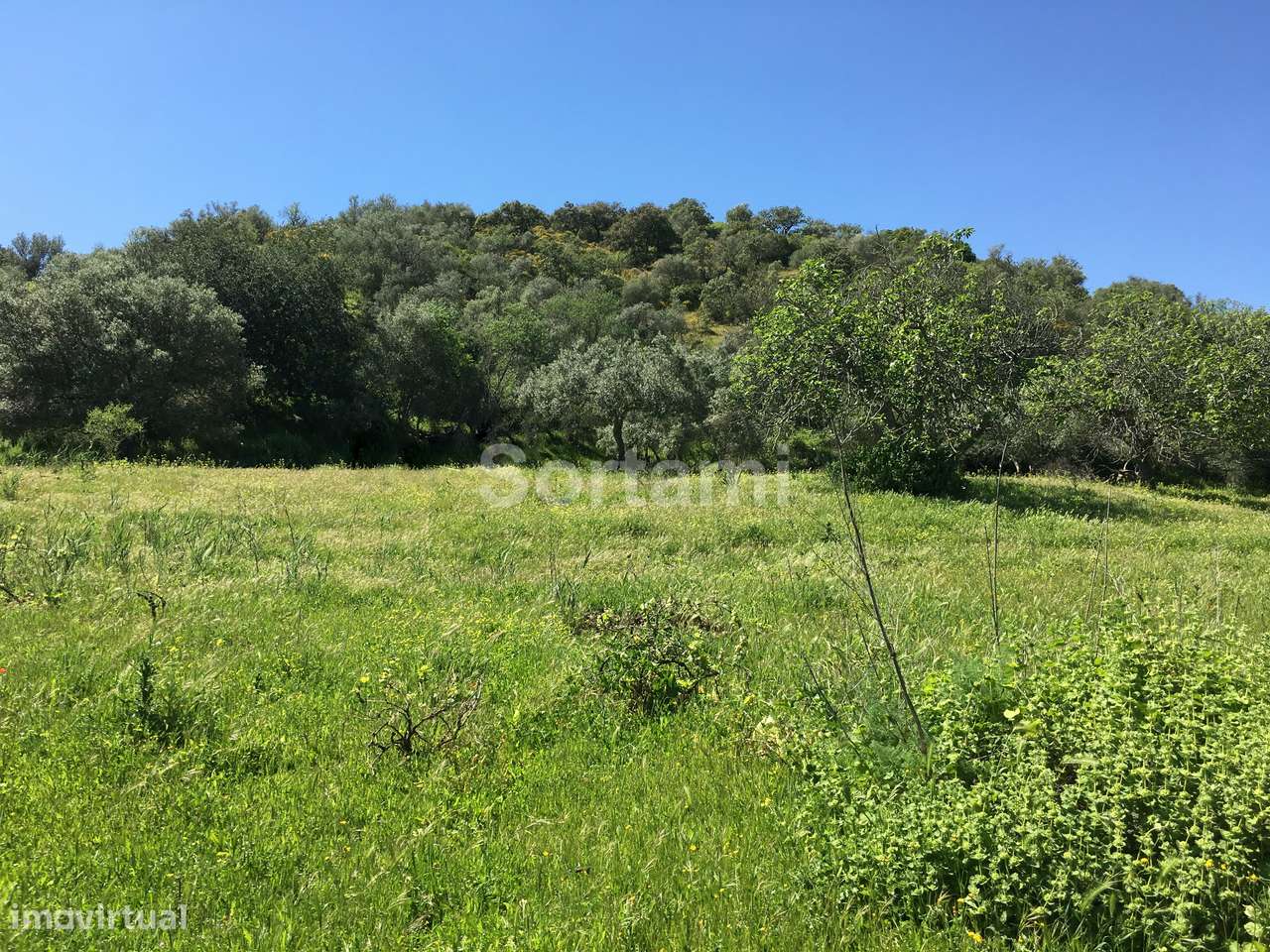 Terreno Rústico  Venda em Alcoutim e Pereiro,Alcoutim - Grande imagem: 2/4