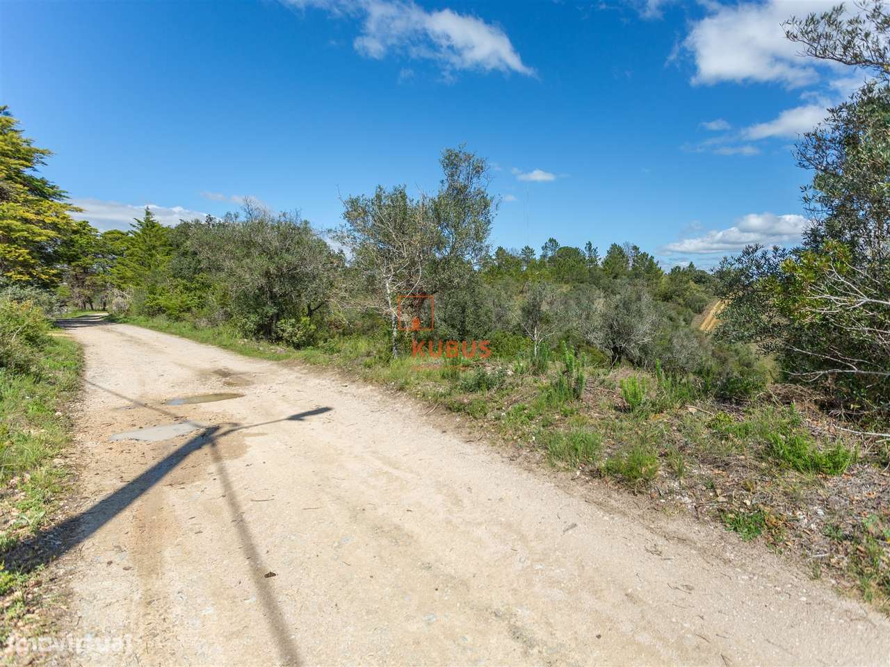 Terreno Rústico  Venda em Olaia e Paço,Torres Novas - Grande imagem: 2/11