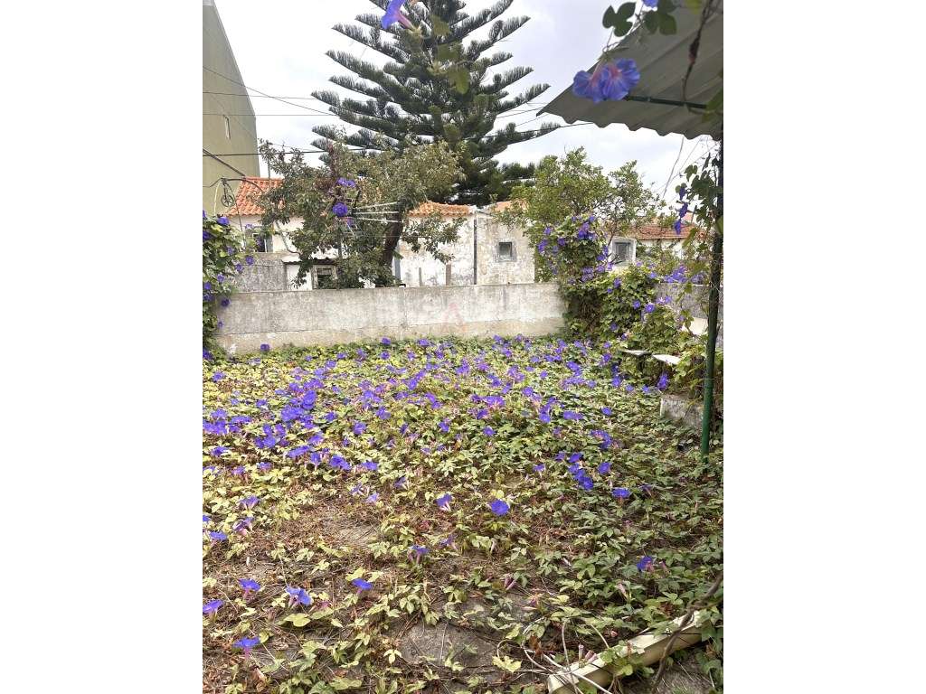 Casa Térrea-5
