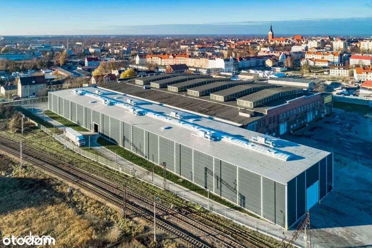 Na wynajem Hala magazynowo-przemysłowa - Pełny obrazek: 2/17