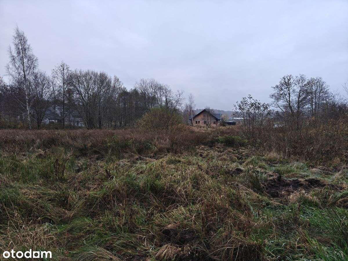 Słoneczna działka budowlana w Sasinie Jarzębinowa-4