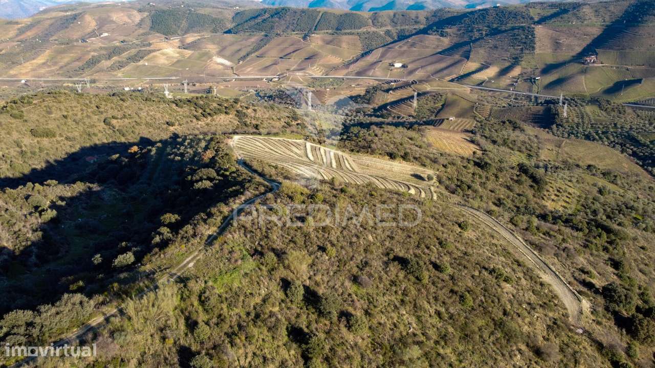 Propriedade de Excelência com Mais de 22 Hectares no Coração do Douro - Grande imagem: 3/30