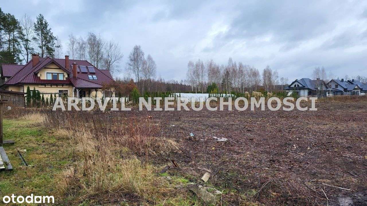 Uzbrojona Grabówka ładna-2