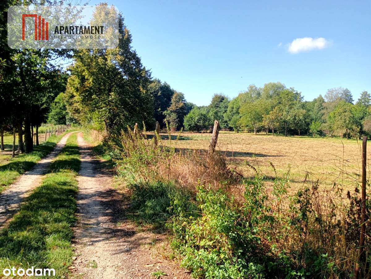 Działki budowlane w cichej zielonej okolicy . - Pełny obrazek: 4/8