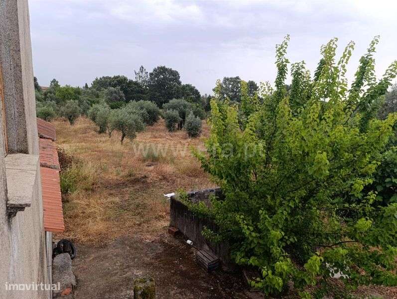 Quinta T2 / Fundão, Póvoa da Atalaia - Grande imagem: 4/20