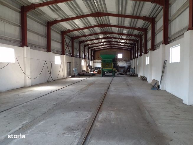 Hala industriala 483 mp teren 800-2570 mp Pacurari Metro-0