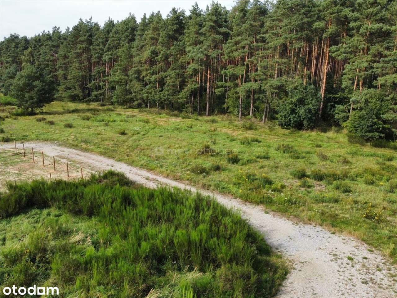 Uzbrojona działka pod lasem pod Kołobrzegiem - Pełny obrazek: 5/18