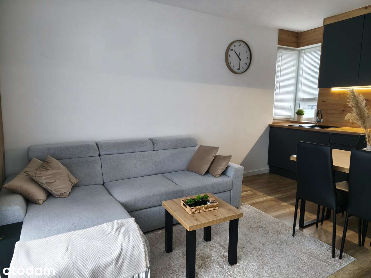 Wyposażone, miejsce postojowe GRATIS, niskie opłaty-5