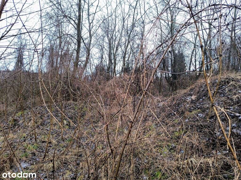 Sprzedam nieruchomość gruntową Kcynia - Pełny obrazek: 2/6