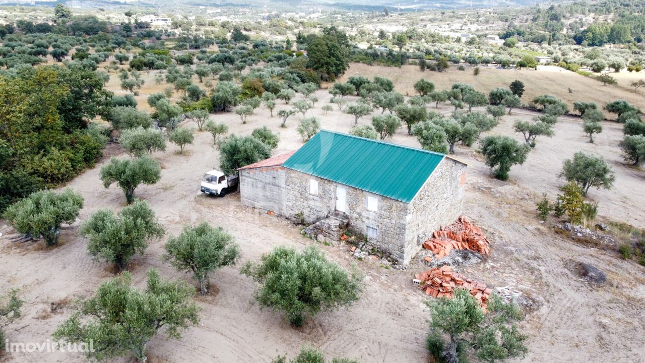 Quinta Agrícola na Lageosa do Mondego com cerca 5 Hectares