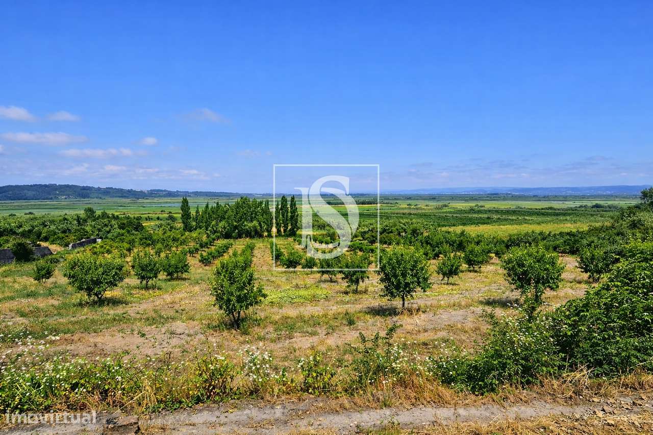 Terreno Para Construção  Venda em Alqueidão,Figueira da Foz-34