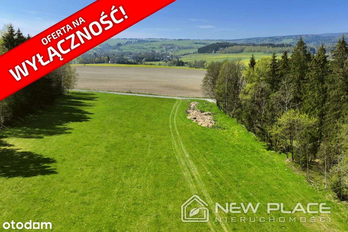 Obniżka! Z Mpzp, widok Gór Stołowych, Złotno - Pełny obrazek: 4/15