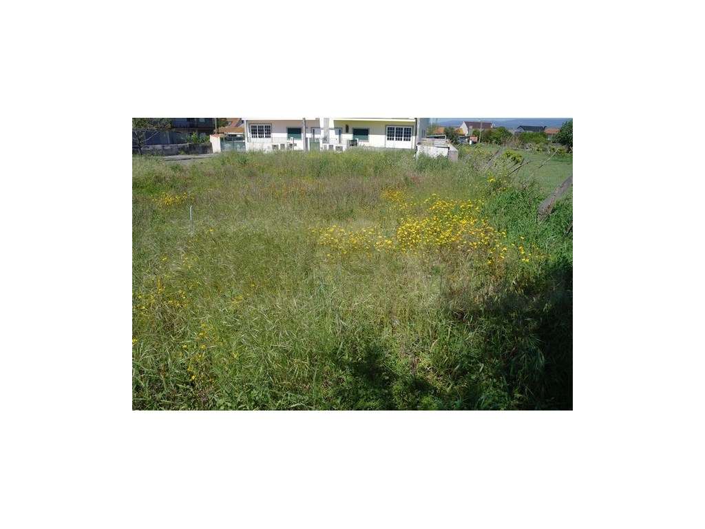 Lote de terreno -Cacia - Grande imagem: 4/4