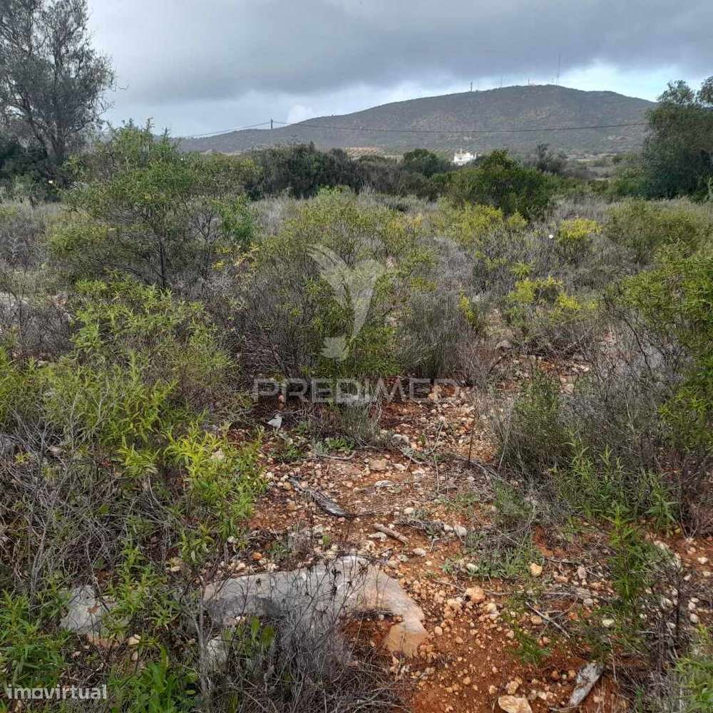 Terreno Rusticocom 1960m2 ao lado da estrada M516 - Grande imagem: 3/11