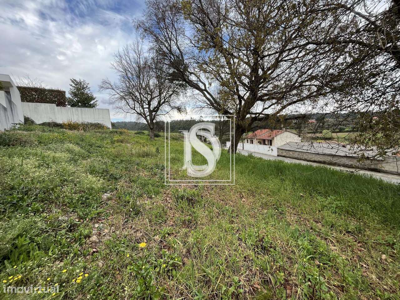 Terreno Não definido em UDF de Alvito (São Pedro e São Martinho) e Cou - Grande imagem: 5/13