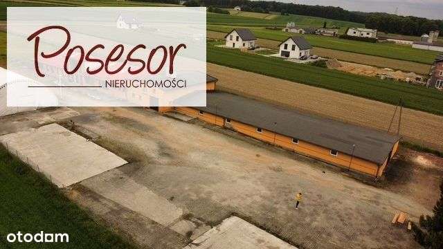 Hale Żory ul. Folwarecka-11