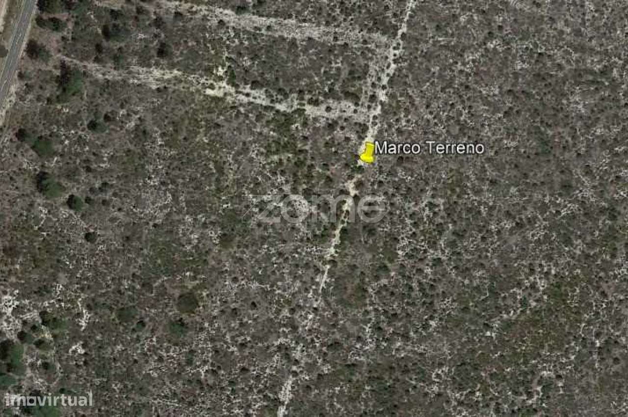 Terreno em Brejinho de Água Sul - Grande imagem: 3/15