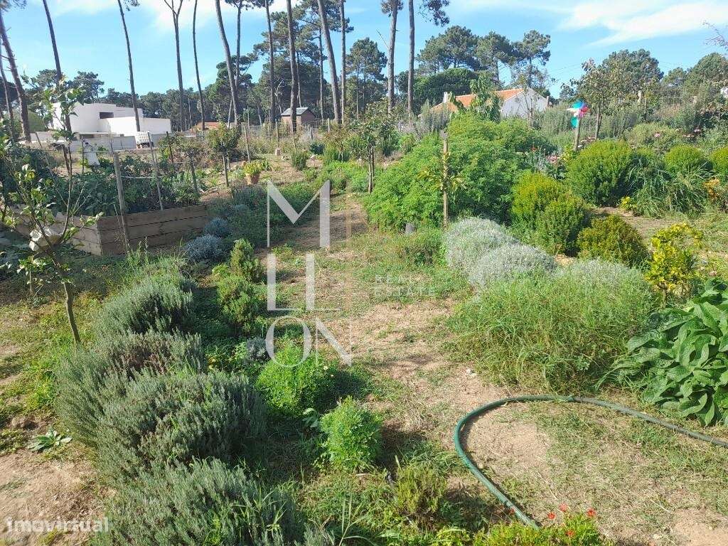 Terreno com projeto aprovado Colares, Sintra - Grande imagem: 5/38