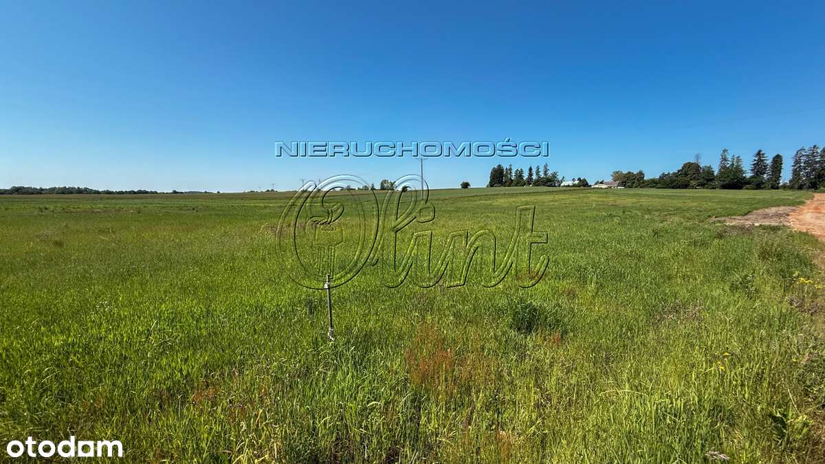 Sprzedam 3 działki w Tawęcinie - Pełny obrazek: 4/10