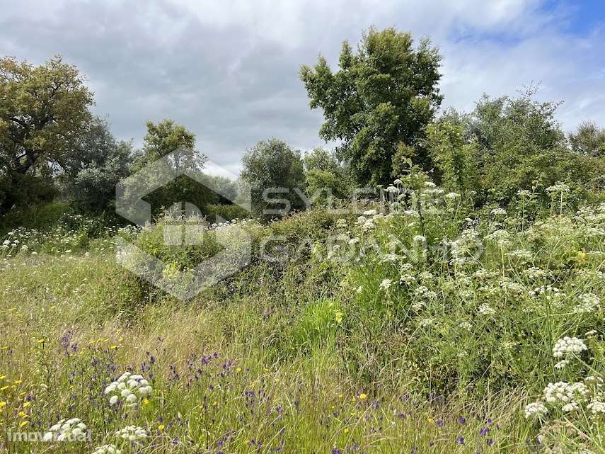 Terreno com casa agrícola para VENDA em São Miguel de Acha-23