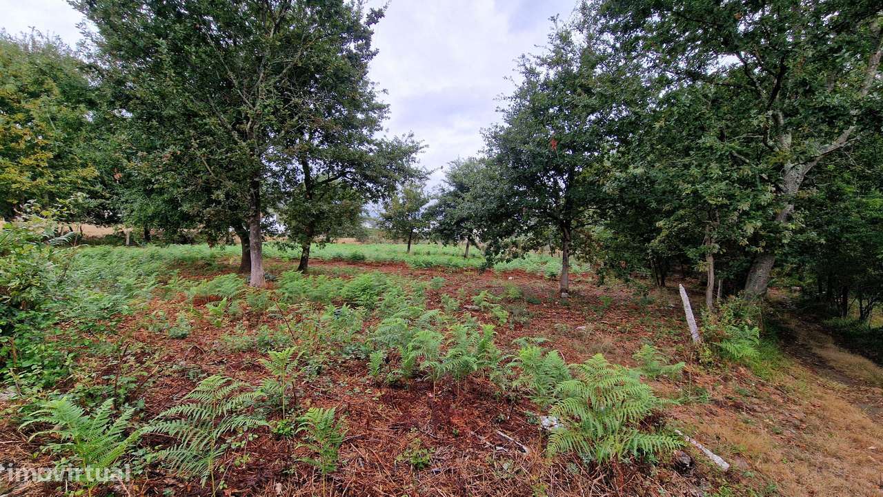 Terreno plano, com 2152m2, localizado a 5 minutos do centro de S. Pedr - Grande imagem: 5/9