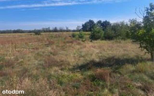 Ładne działki budowlane/media przy działce - Pełny obrazek: 5/12