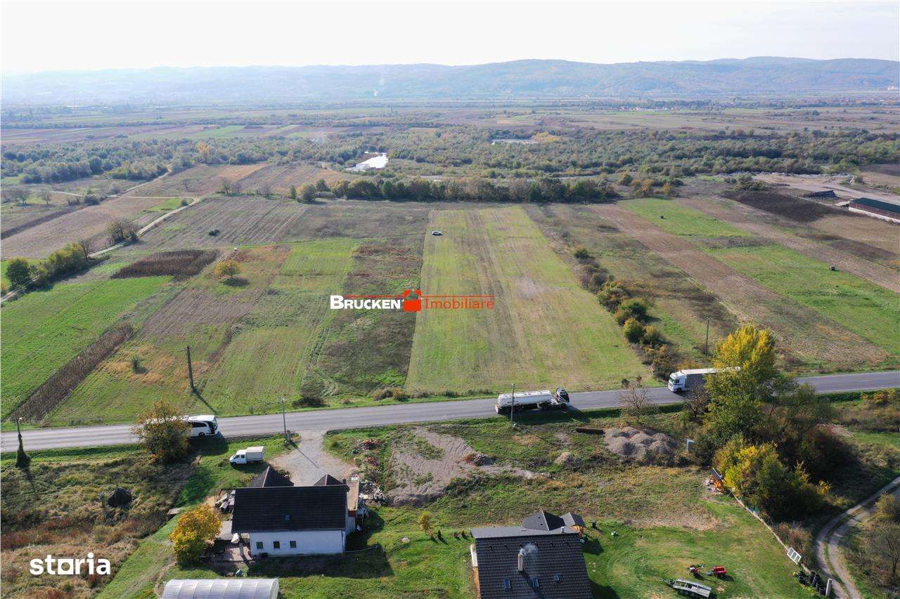 TEREN INTRAVILAN + EXTRAVILAN | AUSEU - Imagine principală: 5/5