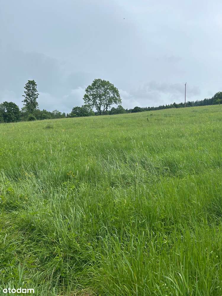 Działka budowlana z projektem pensjonatu - Pełny obrazek: 4/6