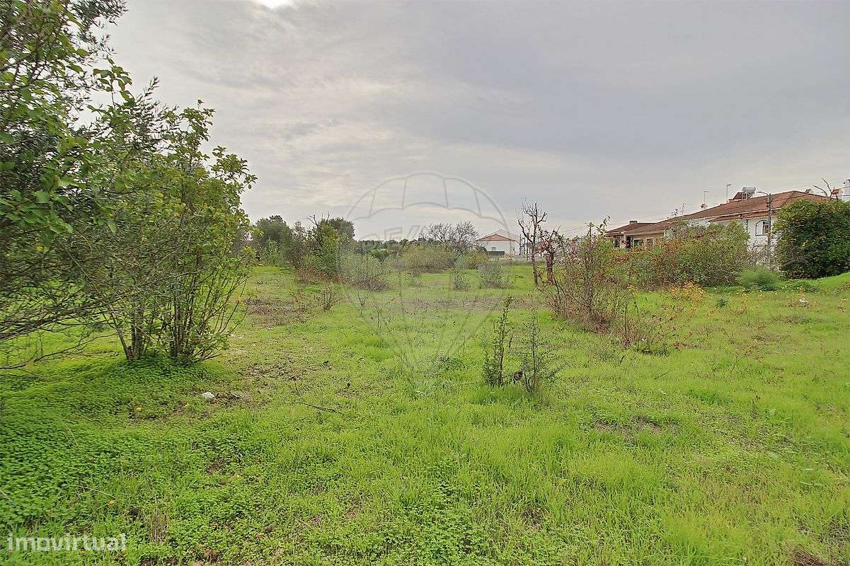 Terreno  para venda - Grande imagem: 3/3