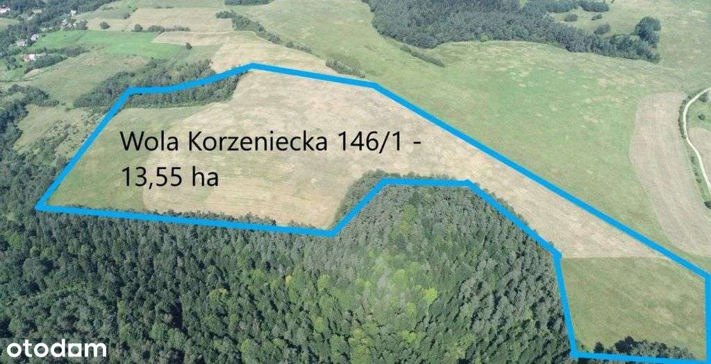 Bircza 13,55 ha woj. podkarpackie - Pełny obrazek: 2/3