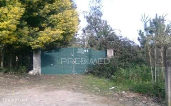 Terreno Rústico com possibilidade de construção industrial - Grande imagem: 2/2