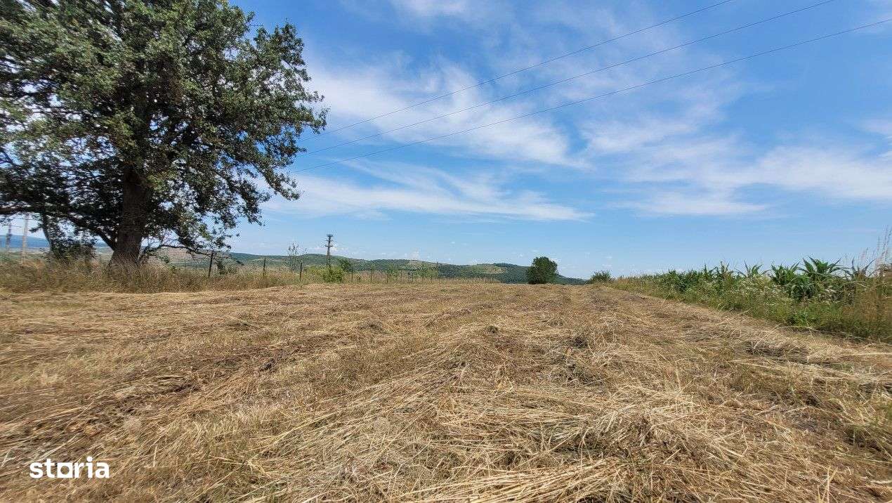 Teren intravilan, 1800mp, front 25 metri, Deusu, Cluj - Imagine principală: 4/4