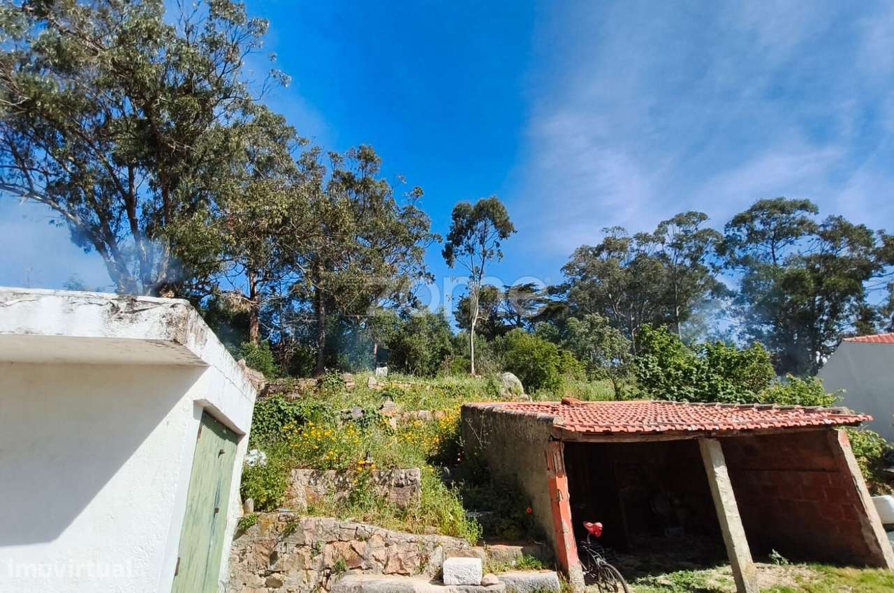 Propriedade única com 1.928 m² | Malveira da Serra-4