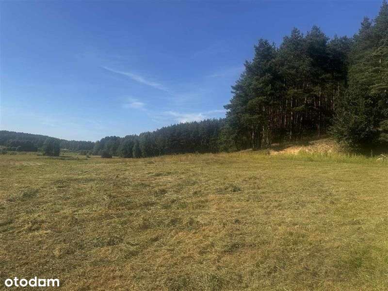 Działka Rezydencjonalna koło Bytowa - Pełny obrazek: 5/7